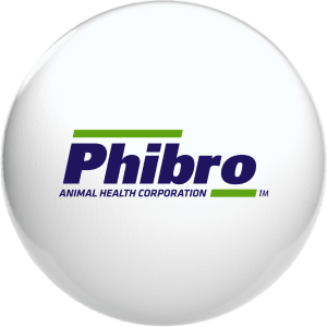 Phibo